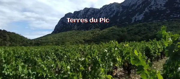 LES TERRES DU PIC