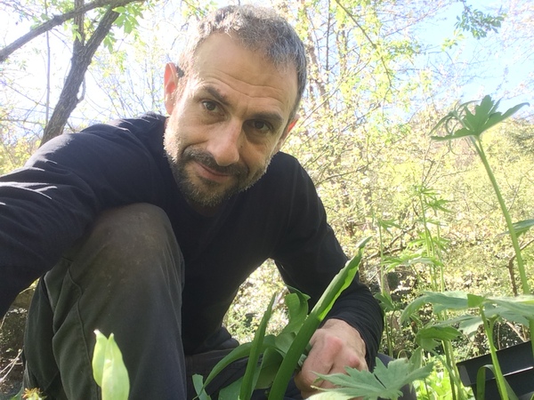 APHAIA NATURE